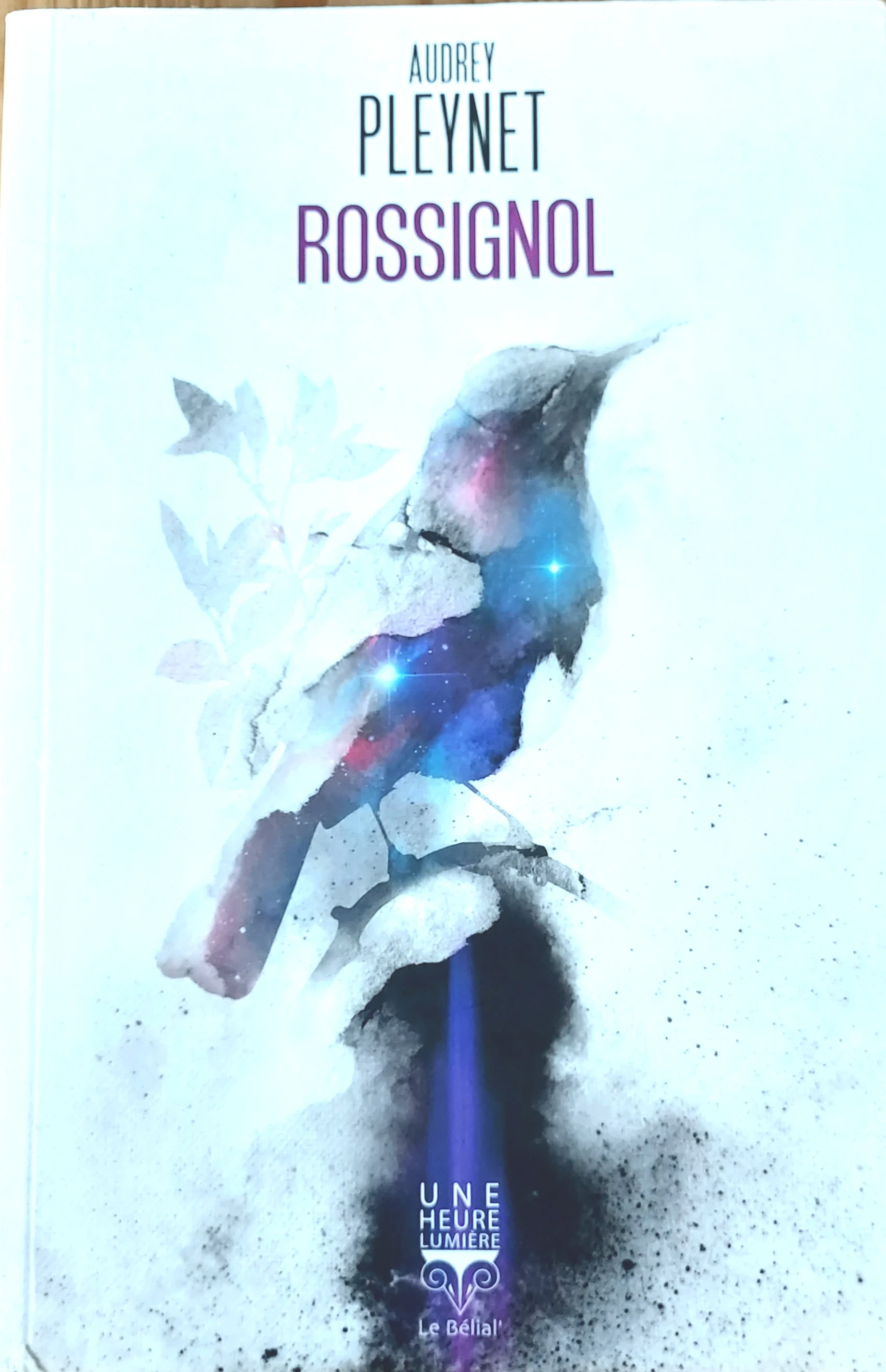 La couverture illustrée par Aurélien POLICE, représente sur fond gris clair, un rossignol sur une branche. L'oiseau est également gris mais se trouve coloré en double exposition par un ciel étoilé avec de roses nébuleuses et de bleus halos. L'ensemble dégage une atmosphère douce-amère mais le corps de l'oiseau ouvrant sur les étoiles invite à la découverte d'un ailleurs peut-être plus chatoyant.